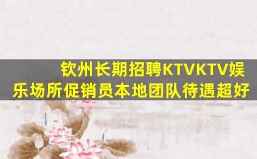 钦州长期招聘KTVKTV娱乐场所促销员本地团队待遇超好